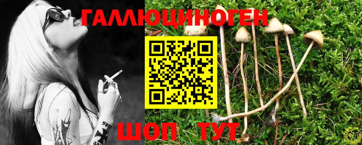 Муром  Псилоцибиновые грибы Psilocybe  Галлюциногенные грибы Magic Shrooms  Вход с VPN 